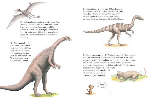 Alles klar! Der kleine Drache Kokosnuss erforscht die Dinosaurier
