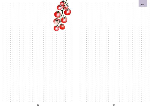 Hochbeet-Glück - Das illustrierte Gartenbuch