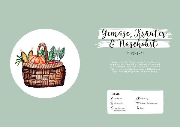 Hochbeet-Glück - Das illustrierte Gartenbuch