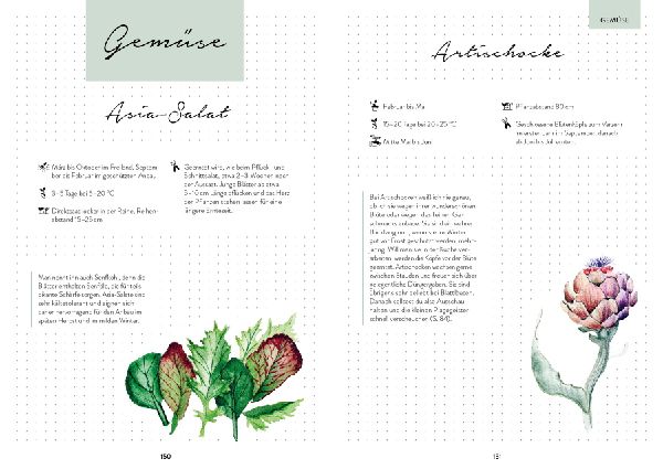 Hochbeet-Glück - Das illustrierte Gartenbuch