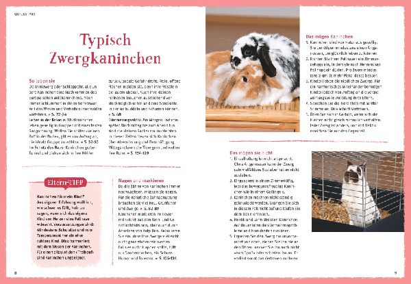 Liebenswerte Zwergkaninchen