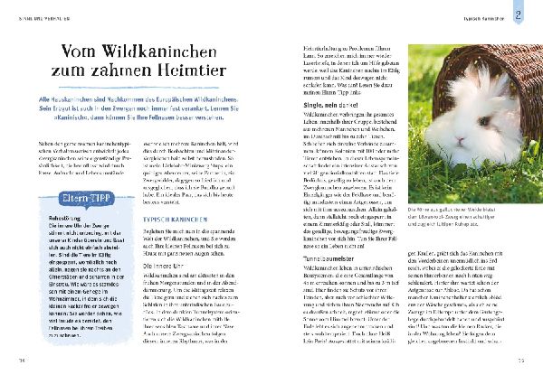 Liebenswerte Zwergkaninchen