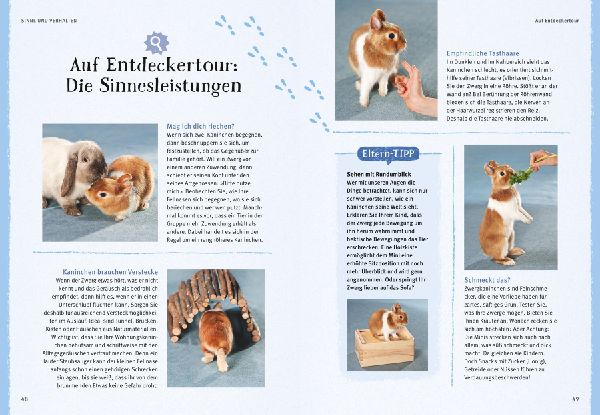 Liebenswerte Zwergkaninchen