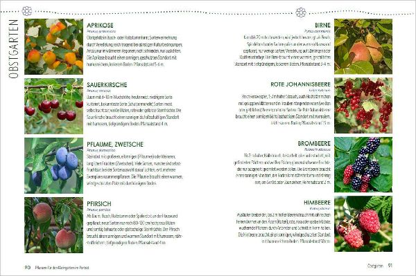 Mein Jahr im Kleingarten. Schrebergarten für Anfänger