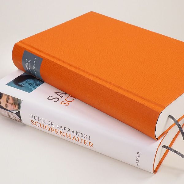 Schopenhauer und Die wilden Jahre der Philosophie