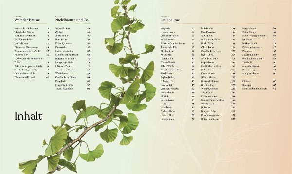 Bäume - Eine Natur- und Kulturgeschichte
