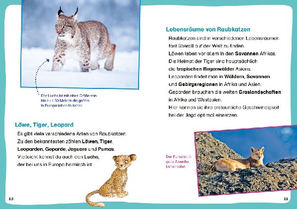 WAS IST WAS Erstes Lesen Leserätsel. Raubkatzen