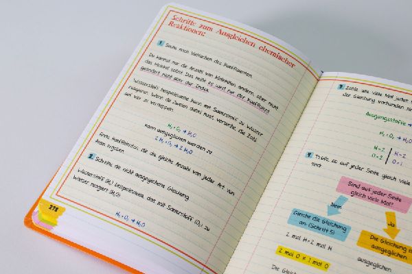 Big Fat Notebook - Alles, was du für Chemie brauchst
