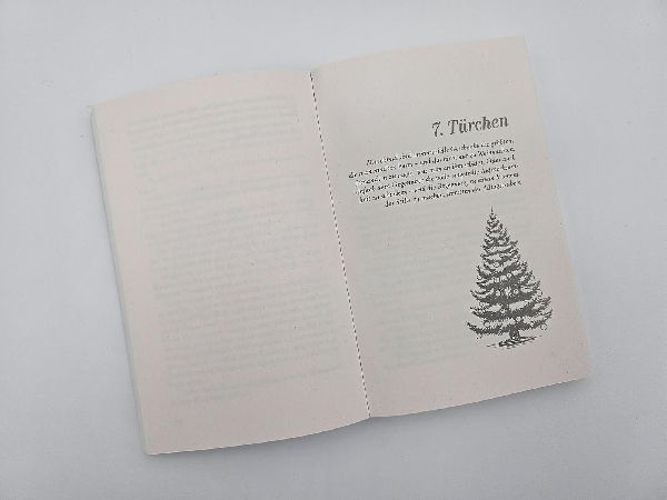 Meine zauberhafte Weihnachtsreise