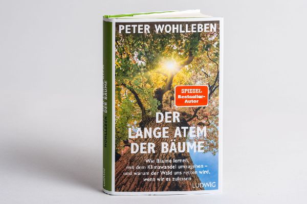 Der lange Atem der Bäume