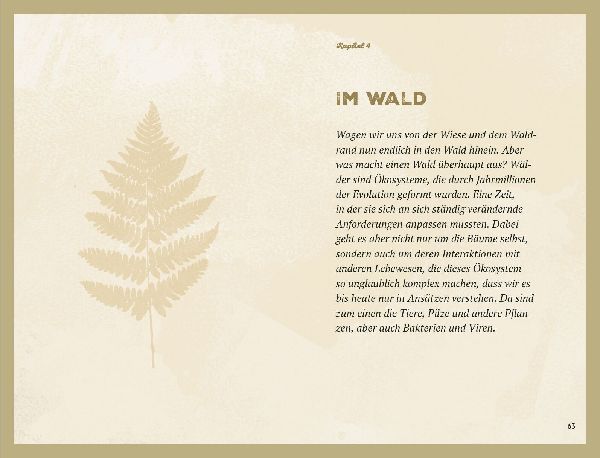 Waldgeheimnisse