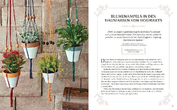 Aus den Filmen zu Harry Potter: Magische Kräuterkunde - Zauberhafte DIY-Projekte, Terrarien und viele weitere grüne Inspirationen