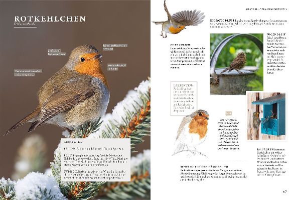 Das Buch der Gartenvögel