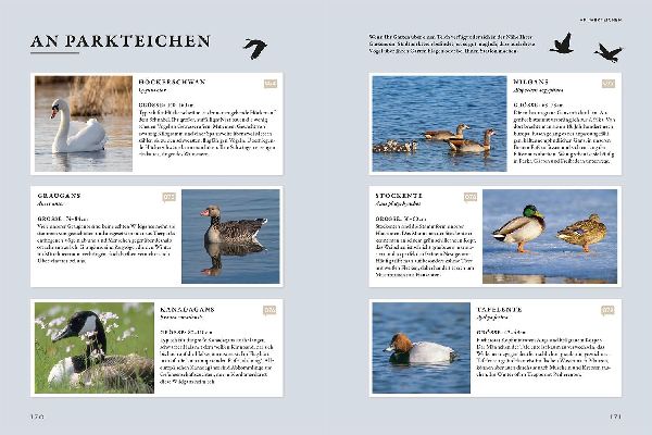 Das Buch der Gartenvögel