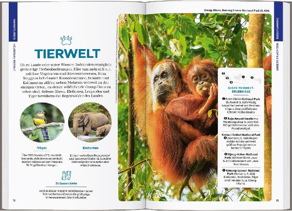 LONELY PLANET Reiseführer Indonesien