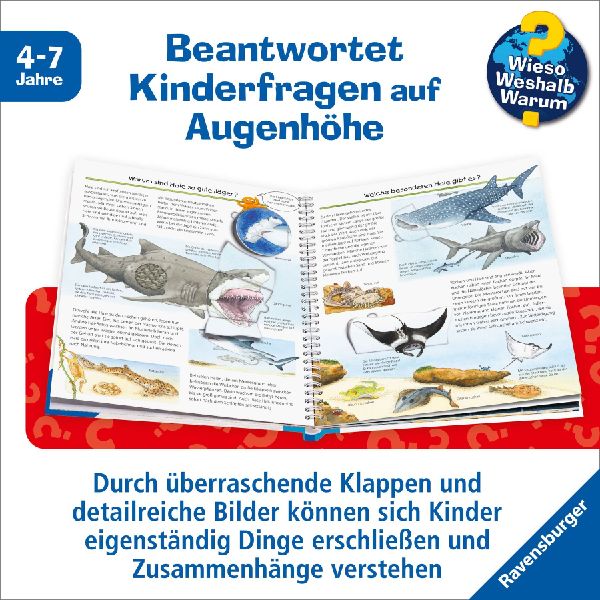 Wieso? Weshalb? Warum?, Band 27: Wir entdecken Meerestiere