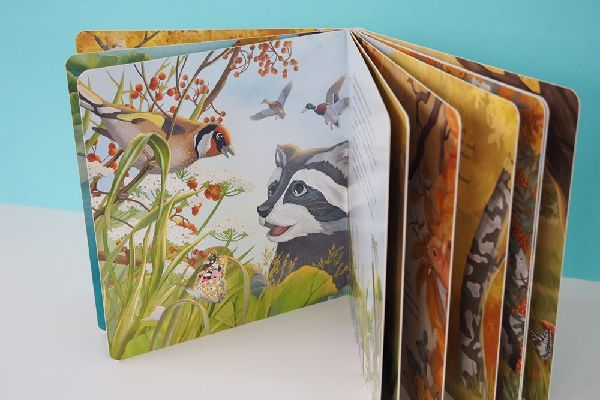 Kopf hoch, kleiner Waschbär - ein Bilderbuch für Kinder ab 2 Jahren