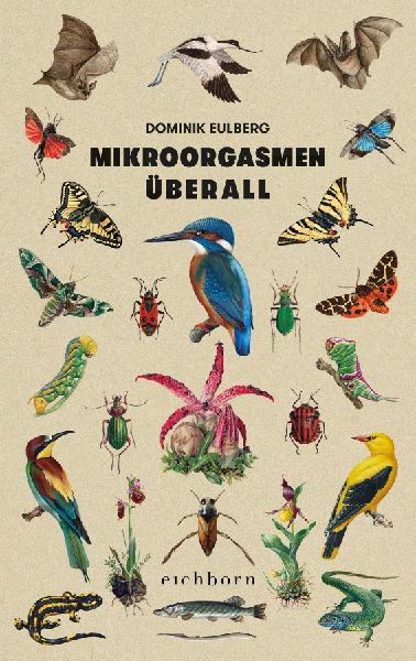 Mikroorgasmen überall