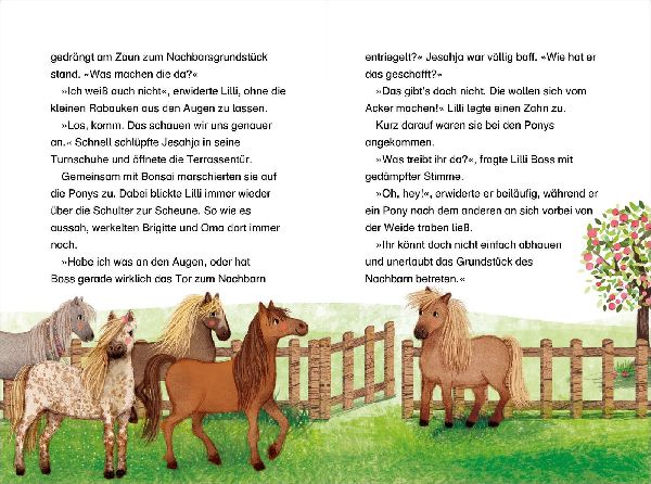 Liliane Susewind - Ein Pony mit Flausen im Kopf