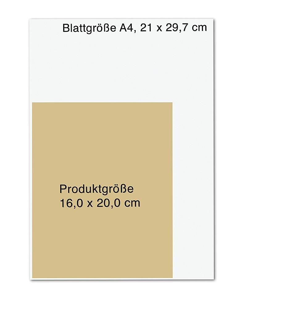 Das RückenHeilbuch für Frauen