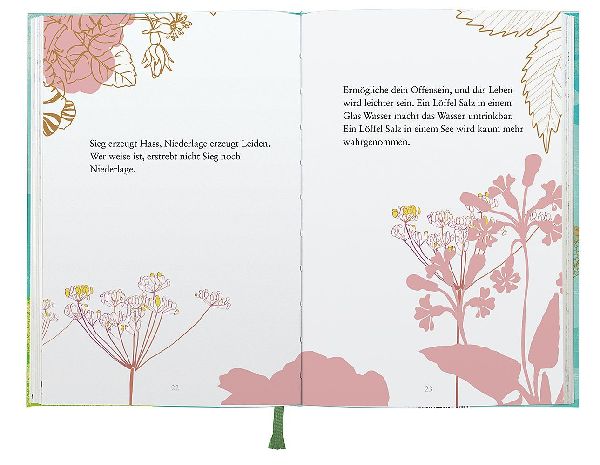 Buddhas kleines Weisungsbuch