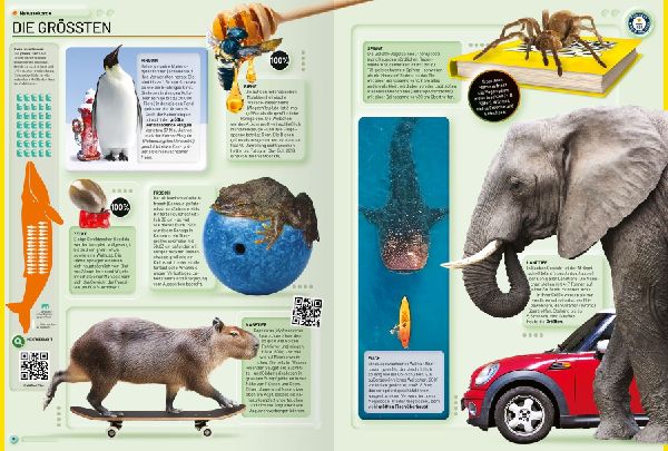 Guinness World Records - 2026