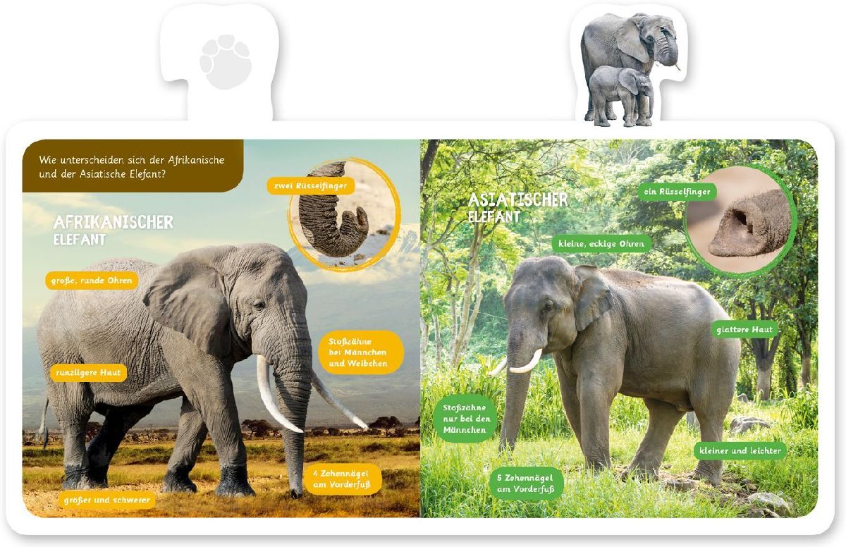Mein kleines Tier-Lexikon - Der Elefant