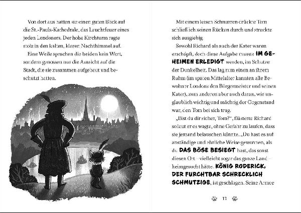 Ninja Cat (Band 4) - Der mysteriöse Juwelenraub