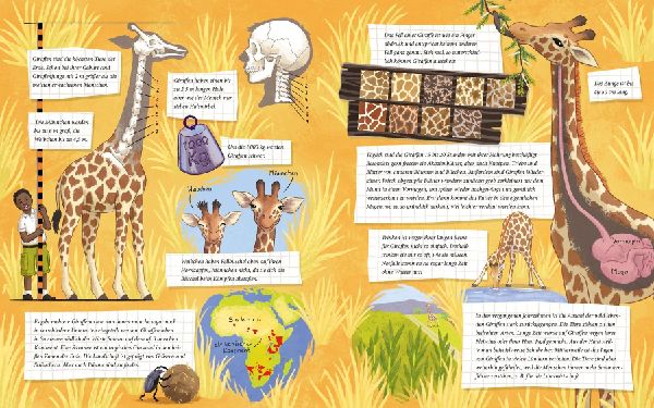 Die kleine Giraffe - Zu Hause in der Savanne