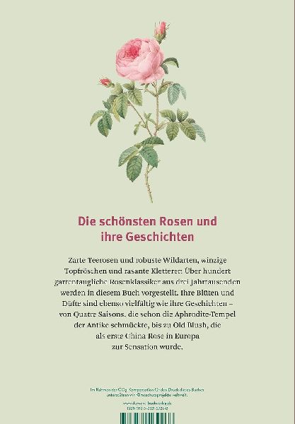 Historische Rosen
