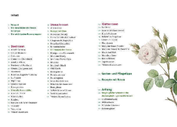 Historische Rosen