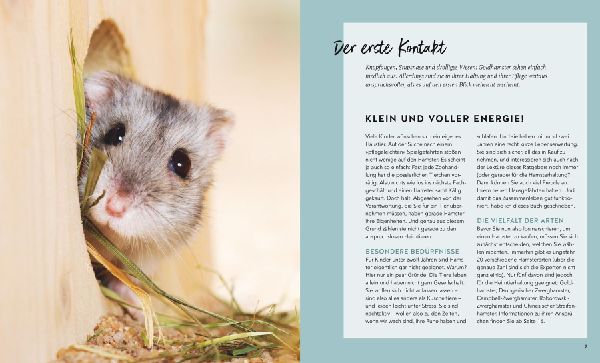 Hamster