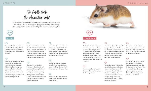 Hamster