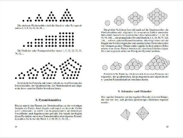 Der 12-beinige Esel. 93 mathematische Rätsel mit ausführlichen Lösungen