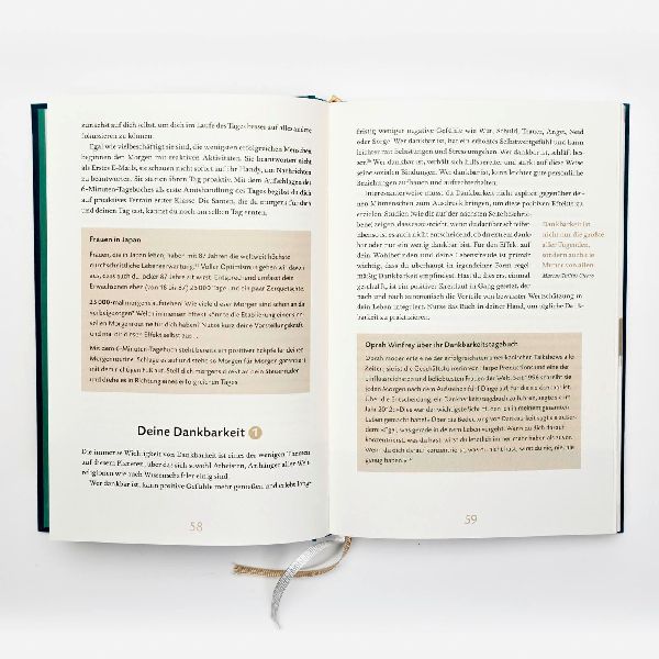 Das 6-Minuten-Tagebuch (lagune)
