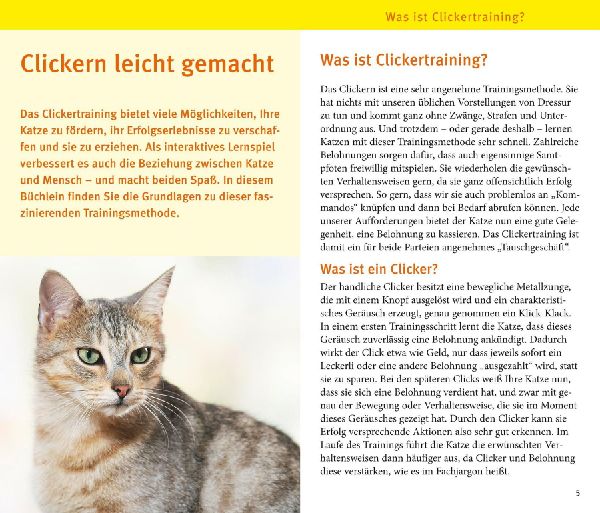 Katzen-Clicker-Box