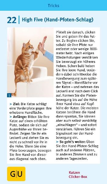 Katzen-Clicker-Box