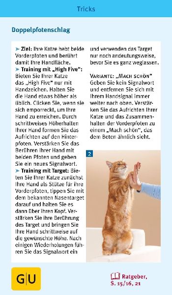 Katzen-Clicker-Box