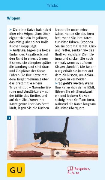 Katzen-Clicker-Box