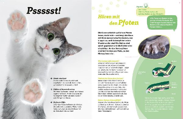 WAS IST WAS Katzen. Eigenwillige Schnurrer