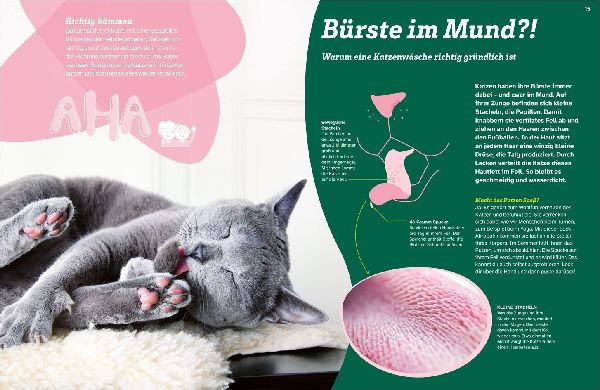 WAS IST WAS Katzen. Eigenwillige Schnurrer
