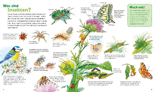 WAS IST WAS Junior Band 33. Insekten