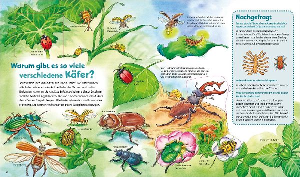 WAS IST WAS Junior Band 33. Insekten
