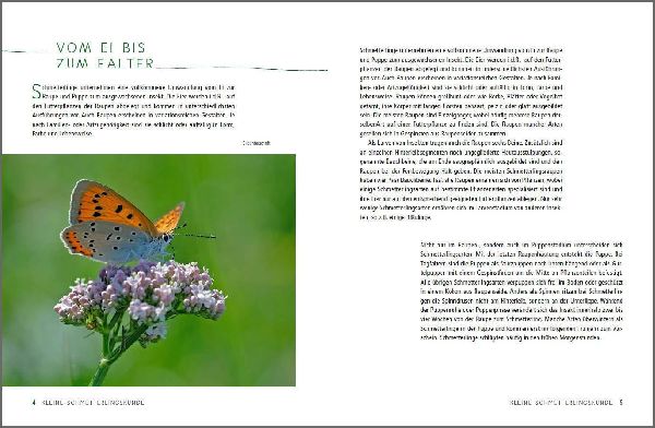 Ein Gartenparadies für Schmetterlinge. Die schönsten Blumen, Stauden, Kräuter und Sträucher für Falter und ihre Raupen. Artenschutz und Artenvielfalt im eigenen Garten. Natürlich bienenfreundlich.