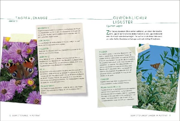 Ein Gartenparadies für Schmetterlinge. Die schönsten Blumen, Stauden, Kräuter und Sträucher für Falter und ihre Raupen. Artenschutz und Artenvielfalt im eigenen Garten. Natürlich bienenfreundlich.