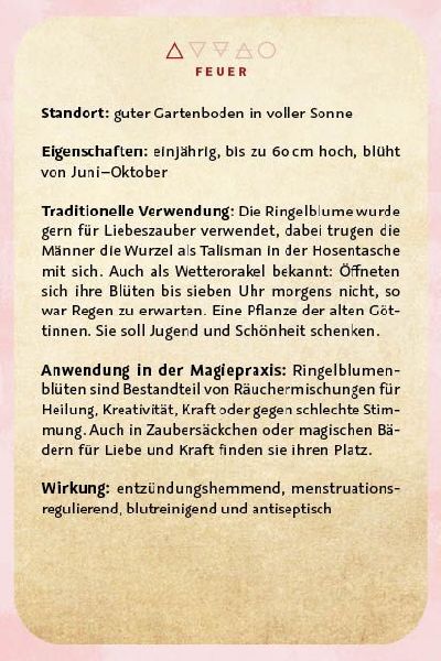 Kartenset: Magie im Hexengarten - 64 Karten zum Gärtnern mit grüner Magie