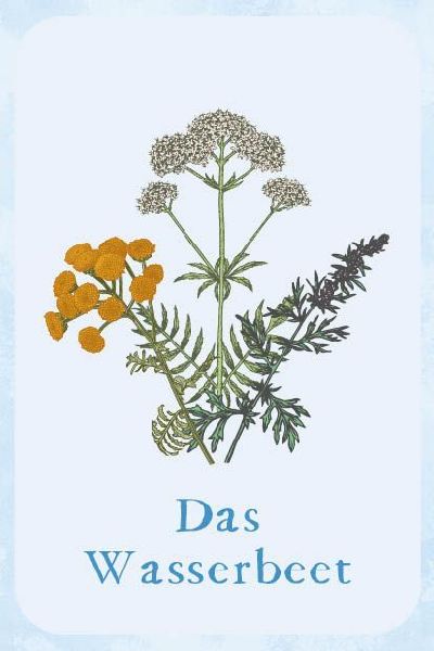 Kartenset: Magie im Hexengarten - 64 Karten zum Gärtnern mit grüner Magie