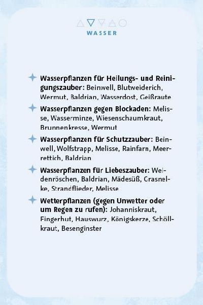 Kartenset: Magie im Hexengarten - 64 Karten zum Gärtnern mit grüner Magie