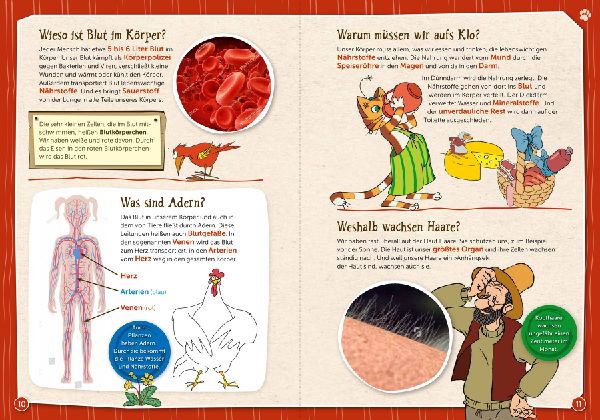 Pettersson und Findus - Kleiner Kater - große Fragen