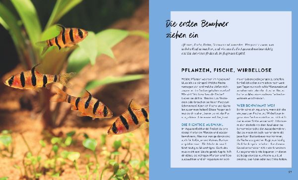 Aquarien - Spaß für Kinder